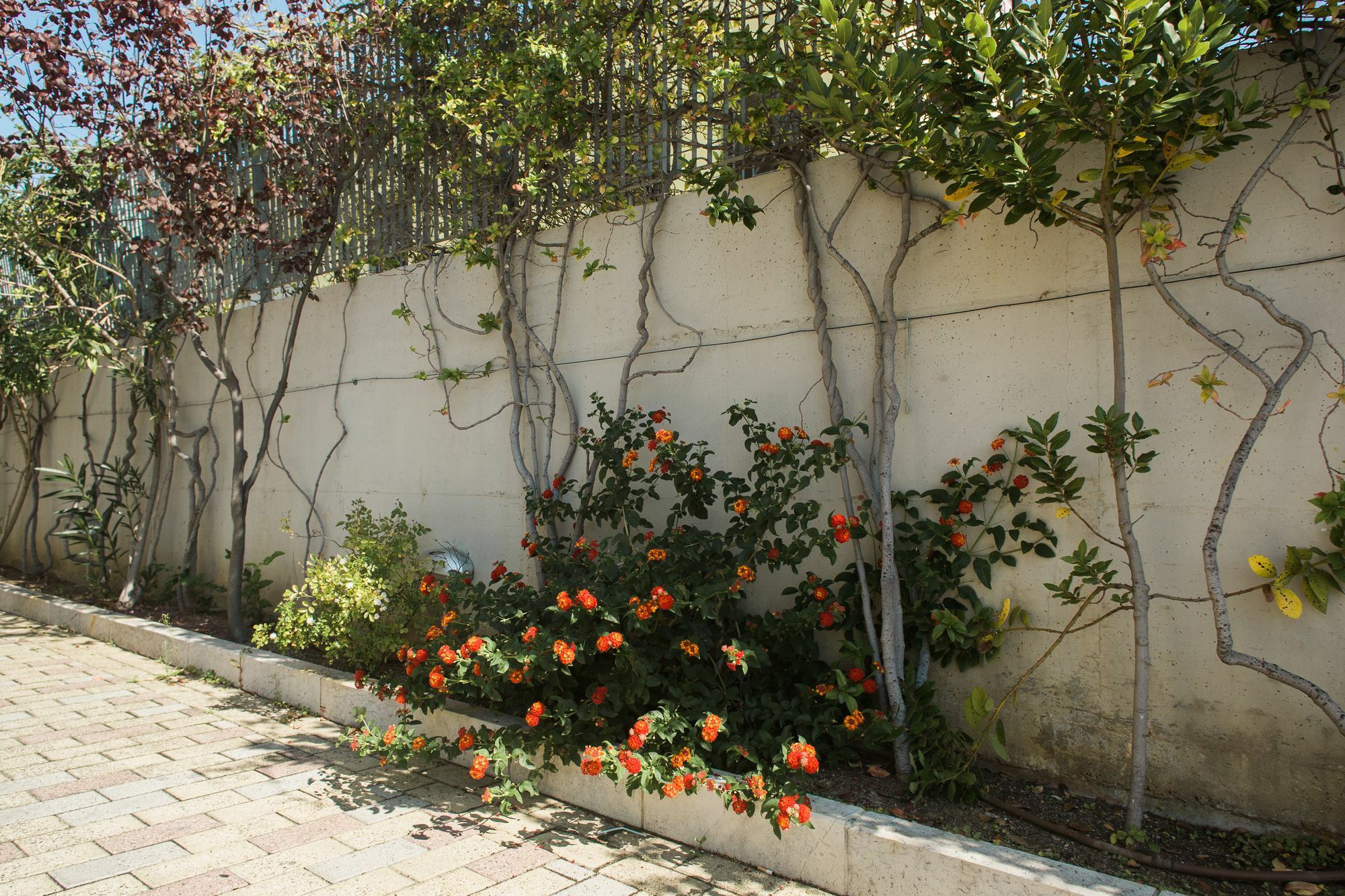 Il Crusco Bed & Breakfast Matera Exterior photo