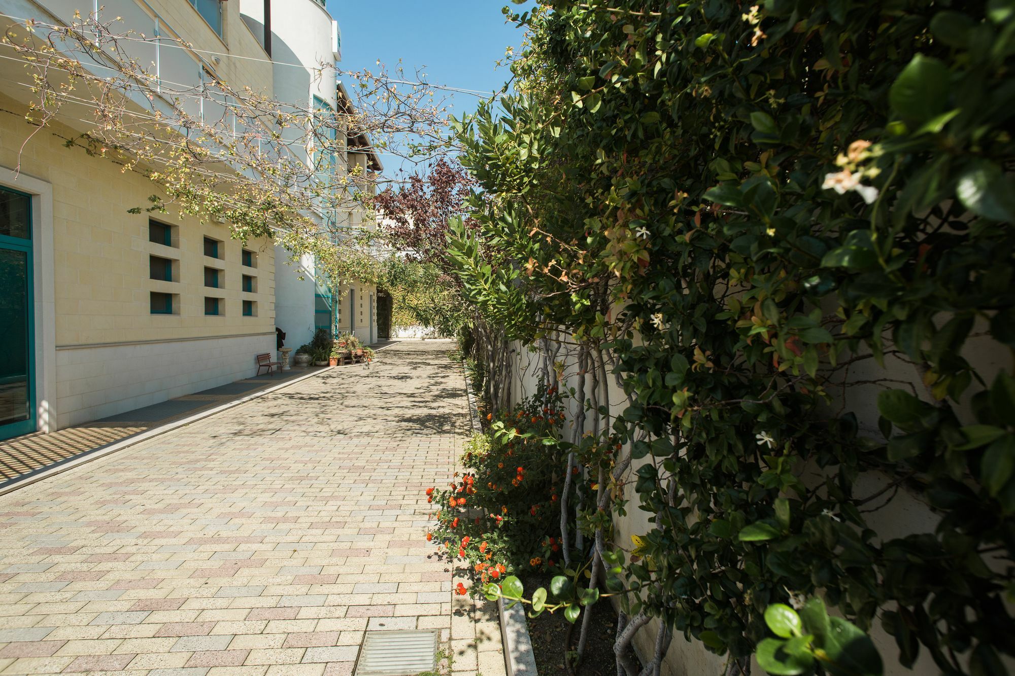 Il Crusco Bed & Breakfast Matera Exterior photo