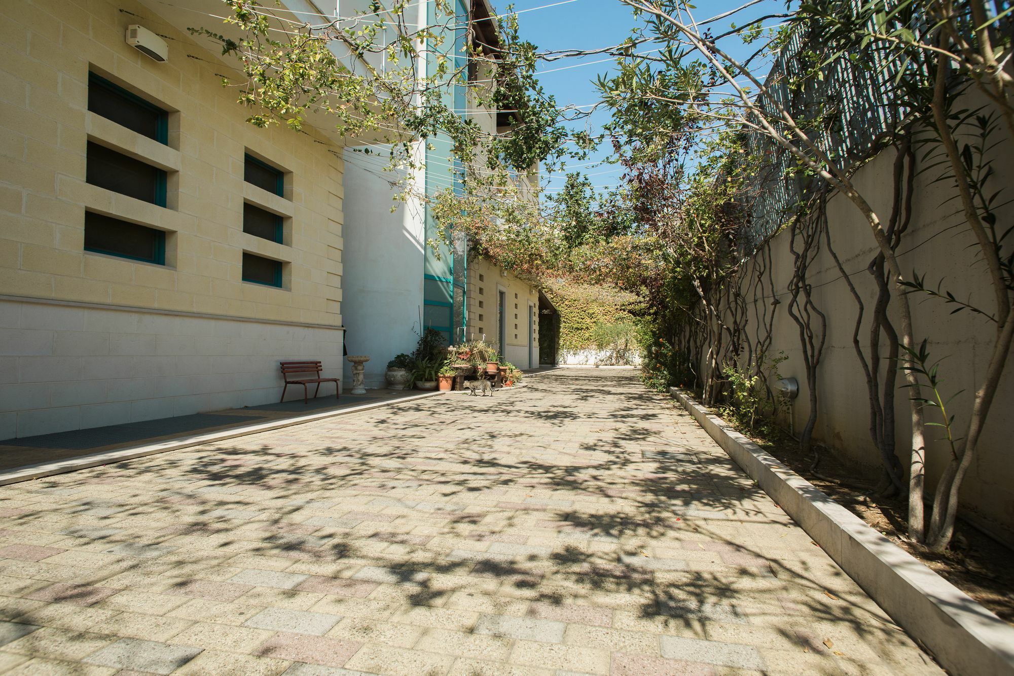 Il Crusco Bed & Breakfast Matera Exterior photo